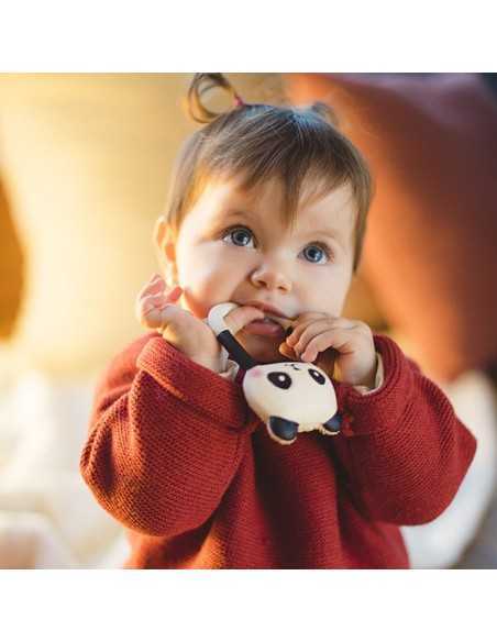 Mordedor Kori El Panda de Lanco