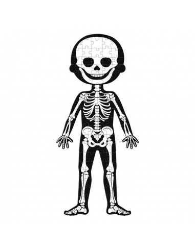 esqueleto humano - rompecabezas en línea