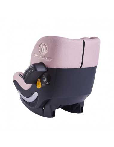 Aerofix RWF 2.0 C de Avionaut Rosa