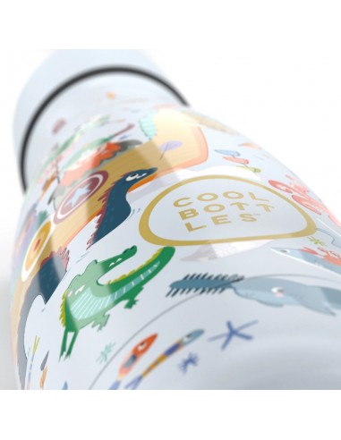 Botella termica acero inoxidable | Cool Bottles Brave Vikings 350ml