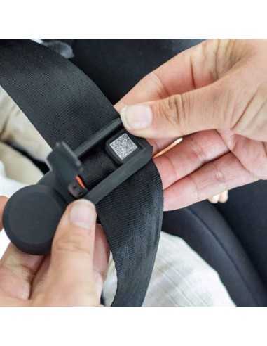 Agrupador de Cinturón Universalde Besafe