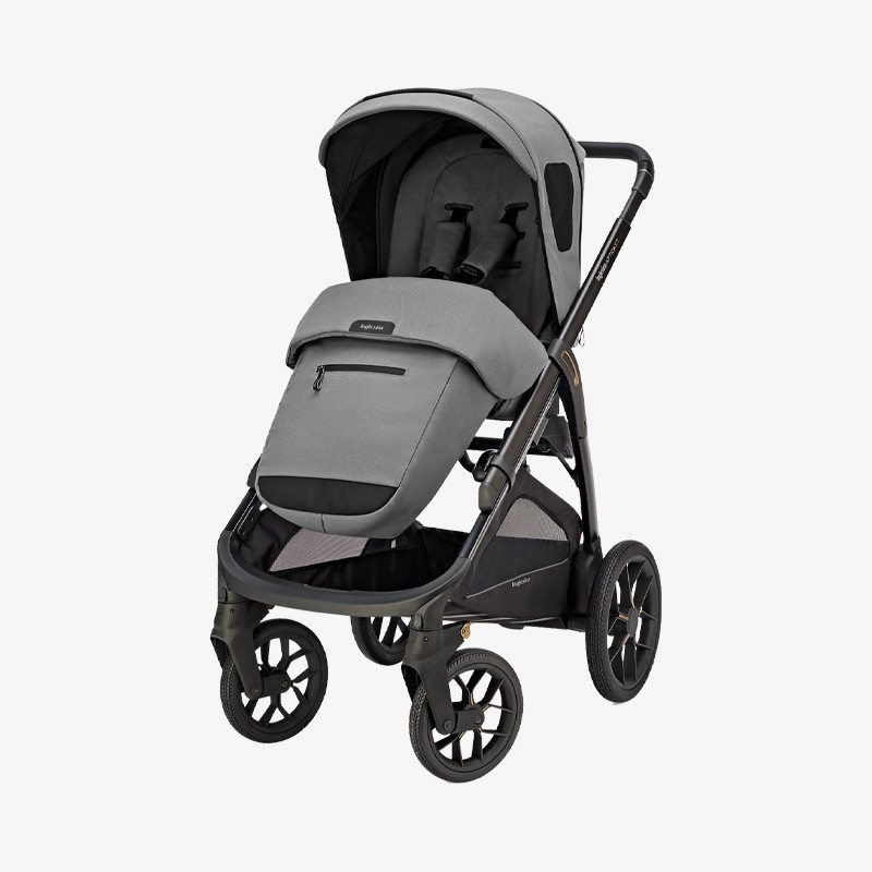 Inglesina Aptica XT