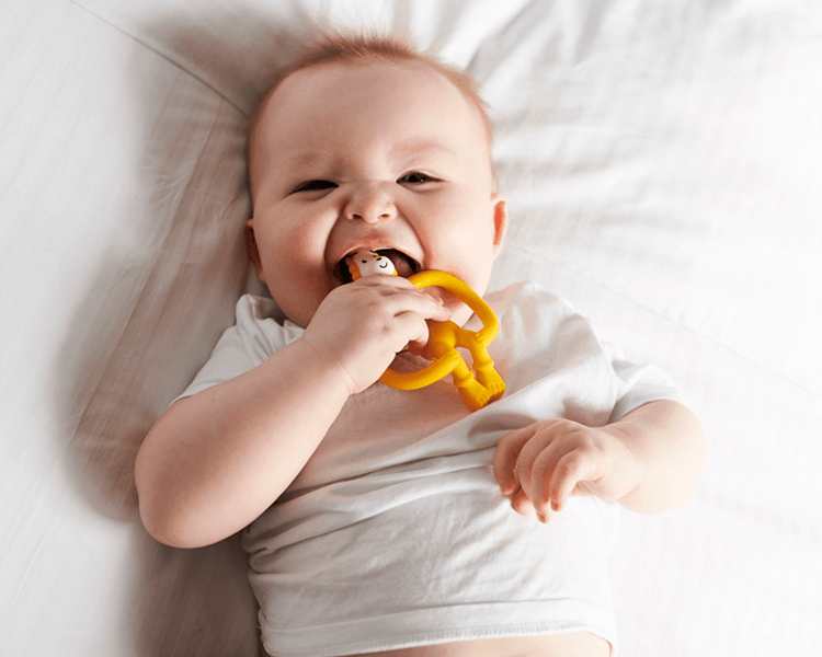 cepillo de dientes mono para bebes